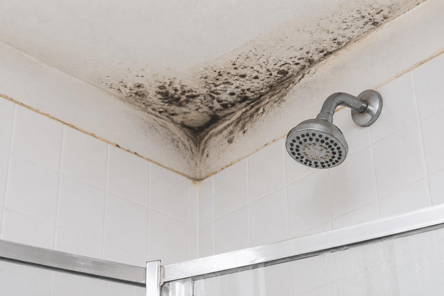 Black mold growing on a bathroom shower ceiling caused by excess moisture and poor ventilation