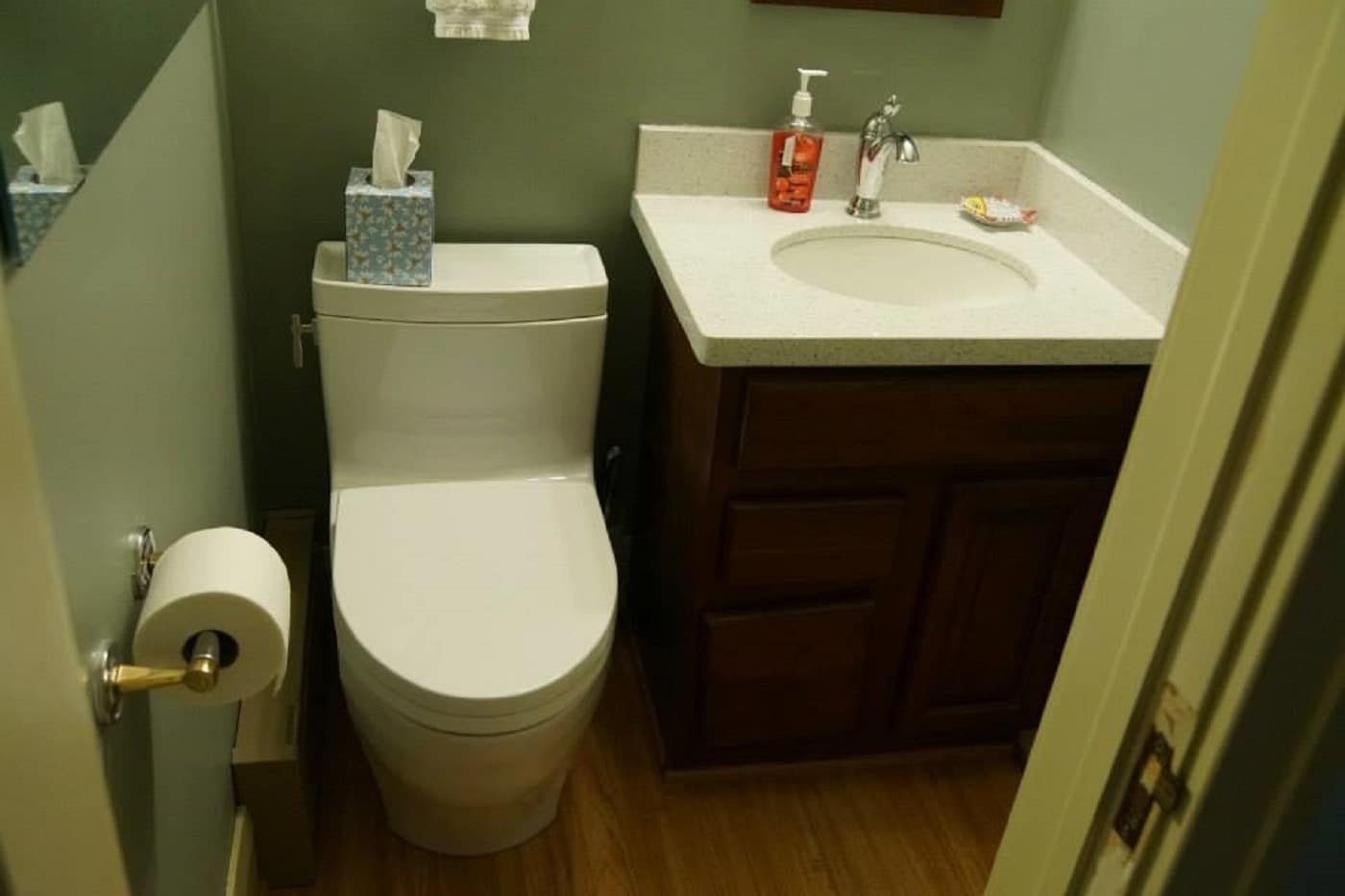 Choosing the Right Toilet Lindus Construction