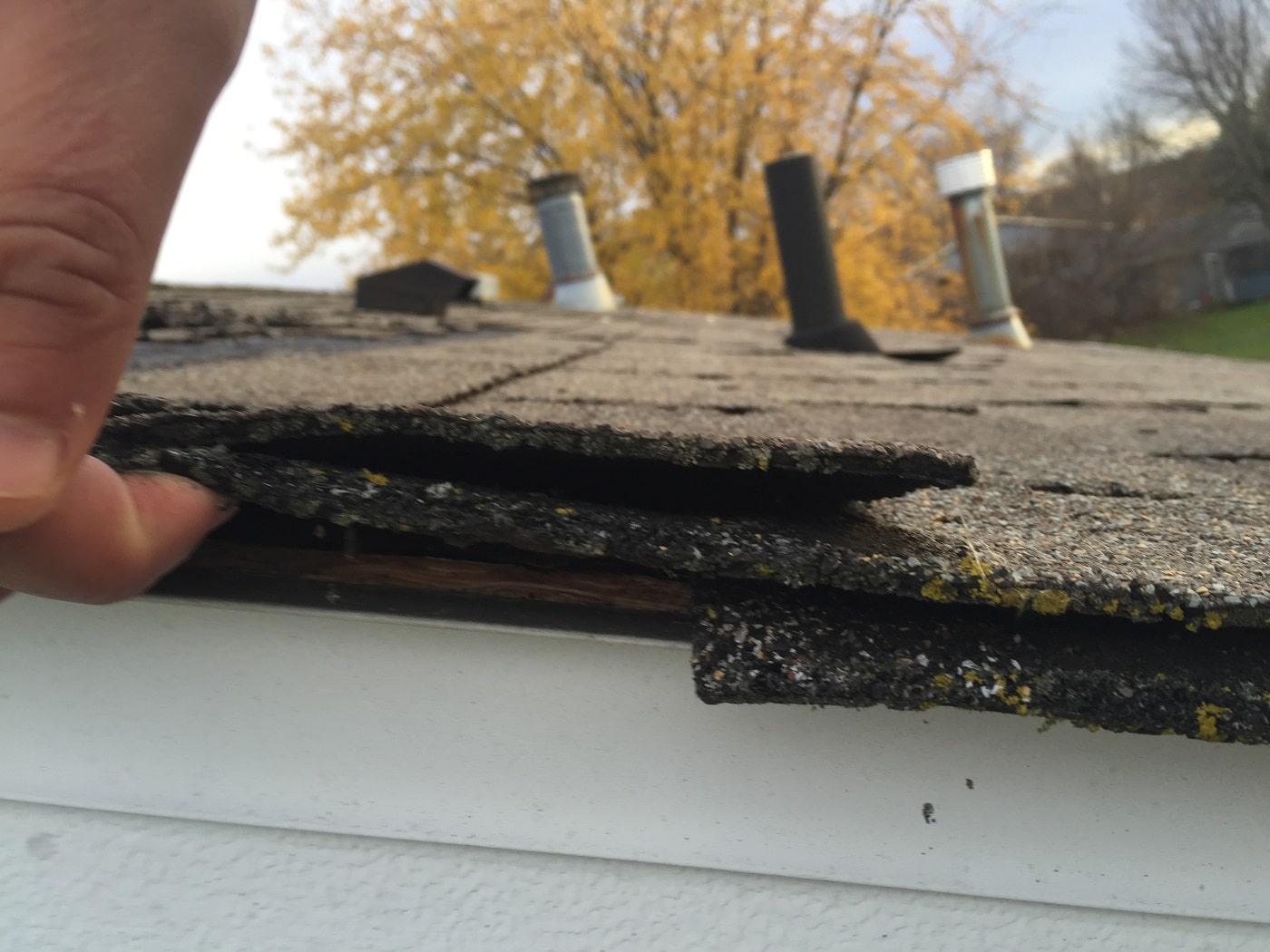 Roofing shingles with curling, water-damaged edges