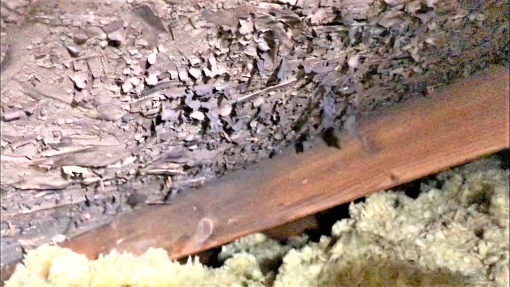 Five Common Attic Problems & Issues to Look Out for | Lindus