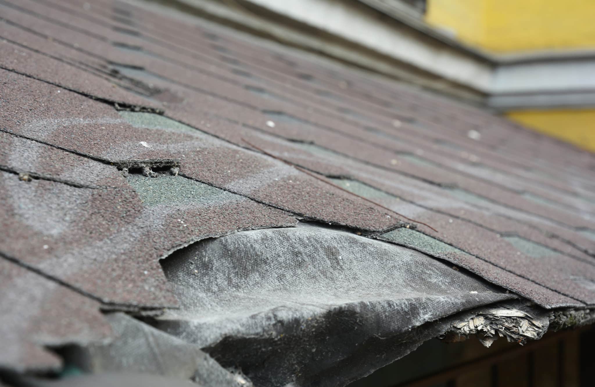 Fast Facts About Storm Damage Roof Repair