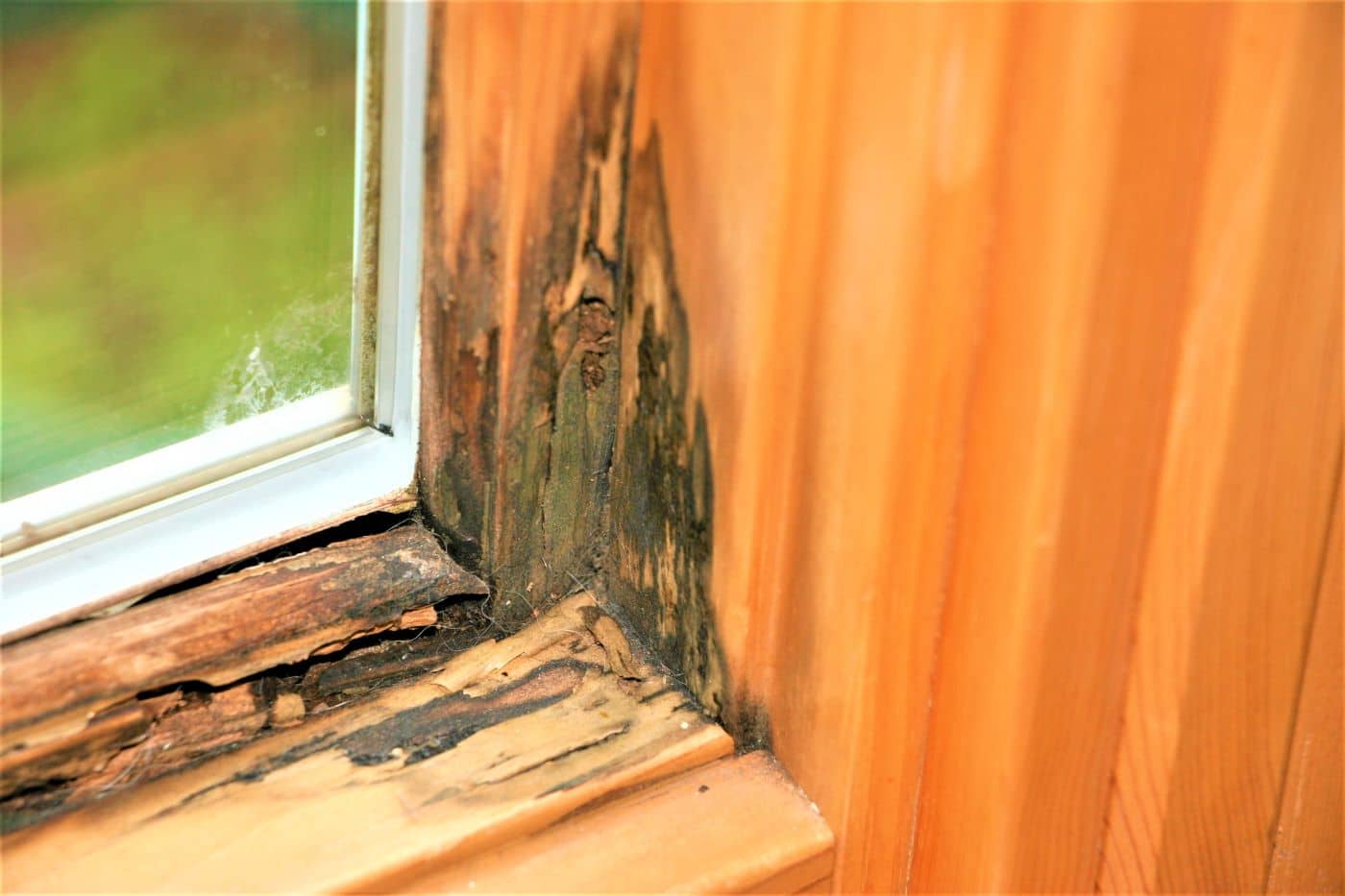  wood rot around old window