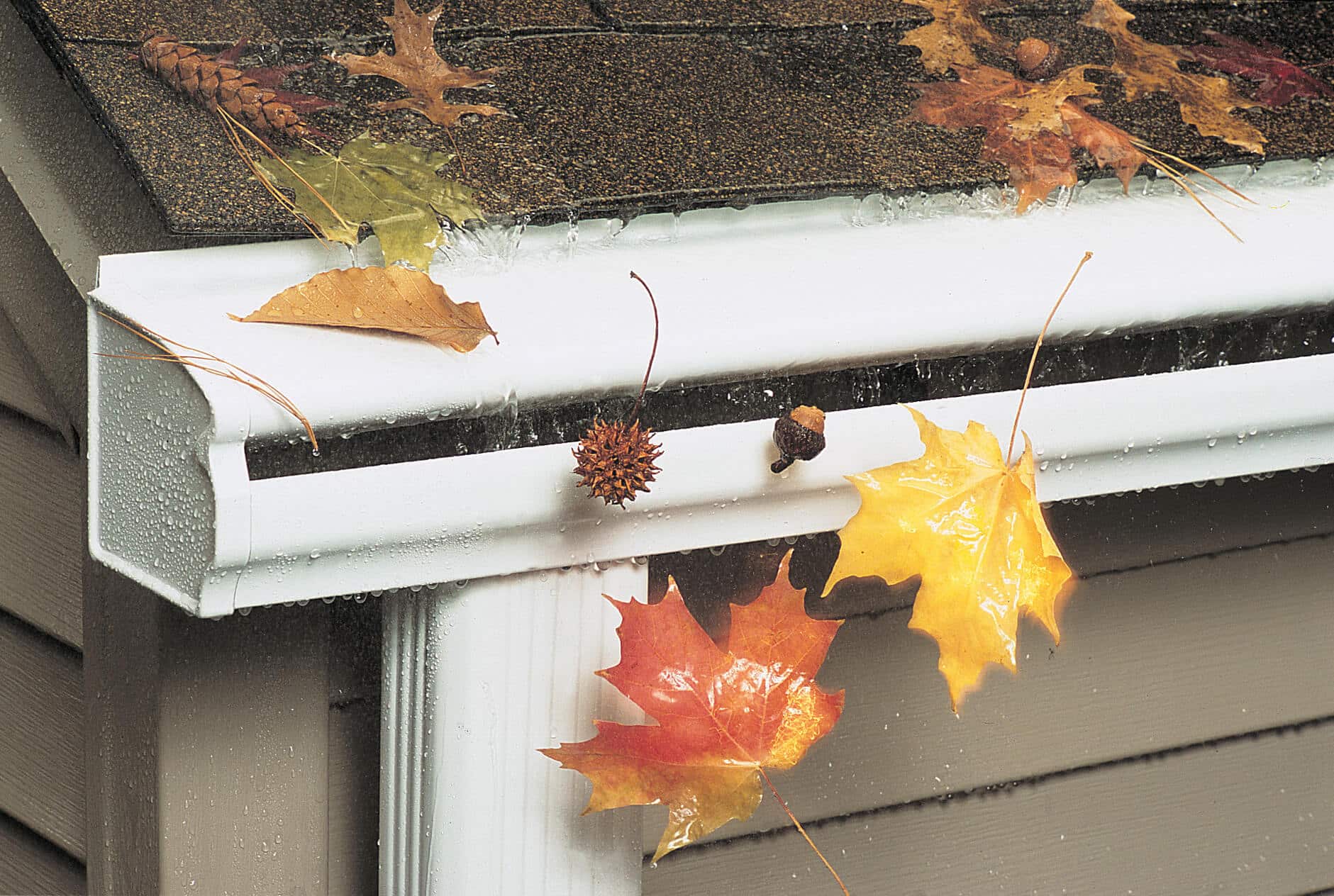 Picture of leaves falling off LeafGuard® Brand Gutters.