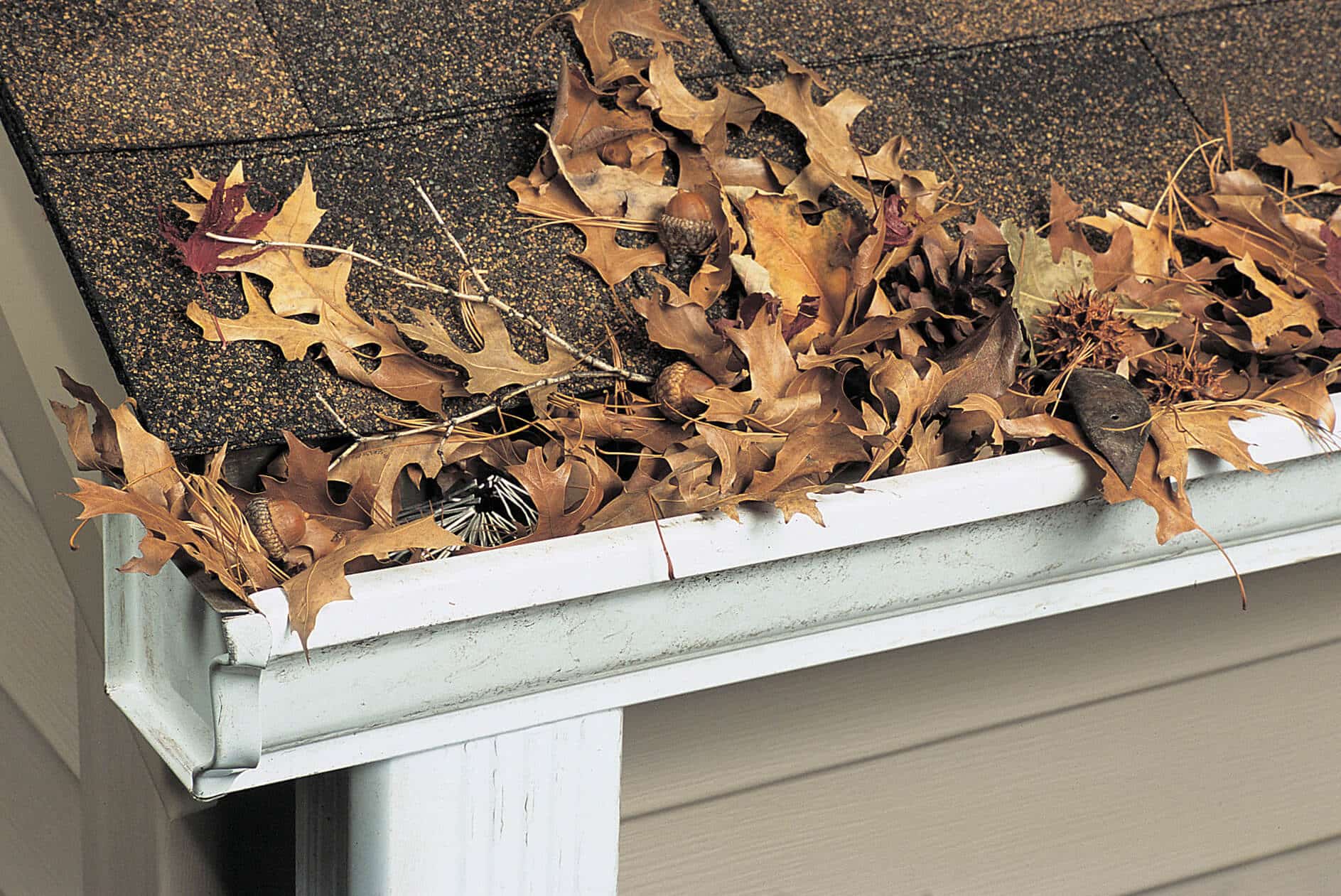 Picture of leaves falling on gutters.