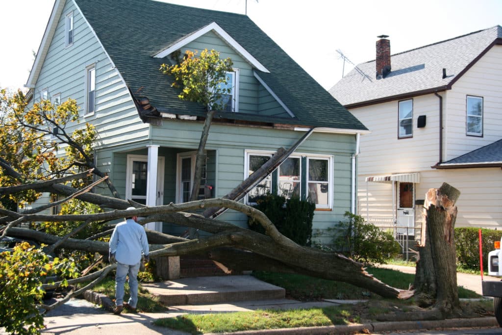 storm damage repair contractor Hastings