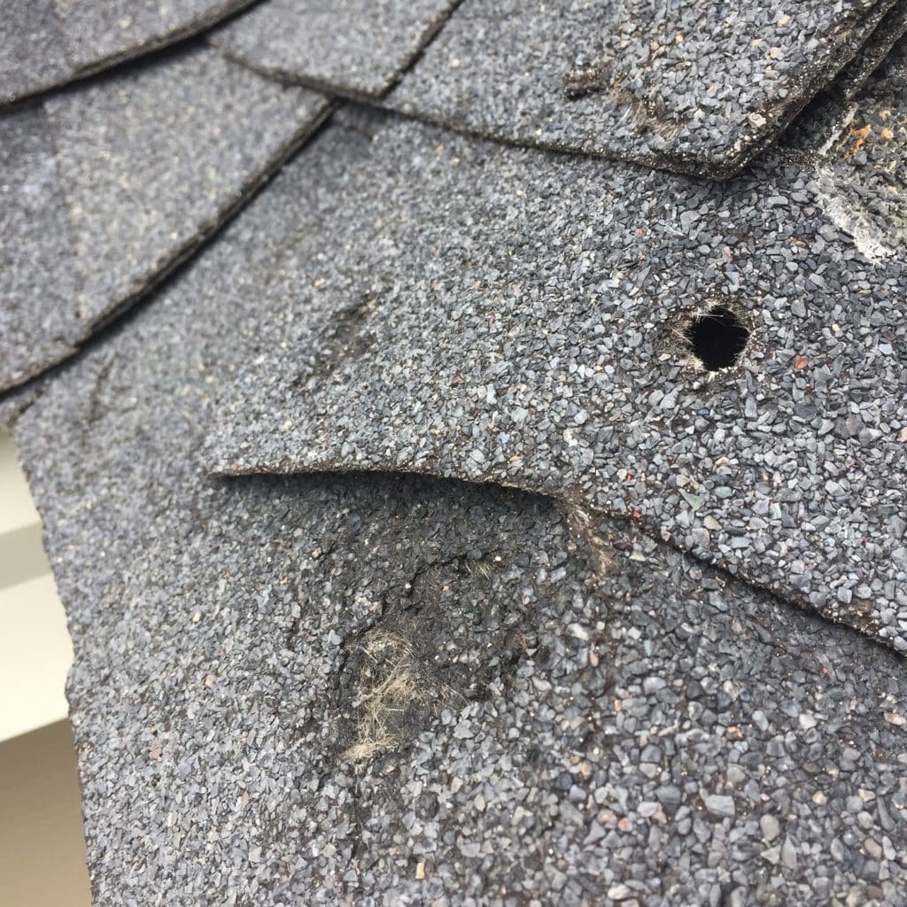 roof with hail and storm damage